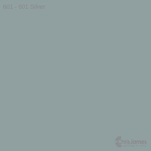 CJ 601 Silver