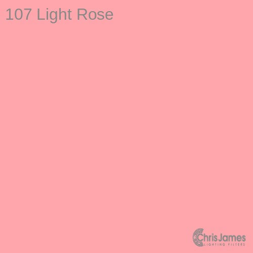 CJ 107 Light Rose