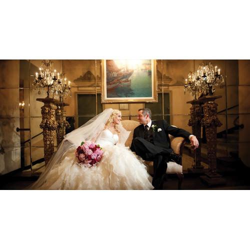 Lowel GL-1 Power LED Sun Gun