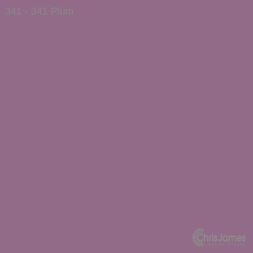 CJ 341 Plum