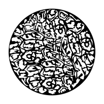 Metal Gobo - Turtle Soup MS-2036