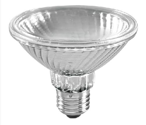 Sylvania 140032 100W 240V Lamp