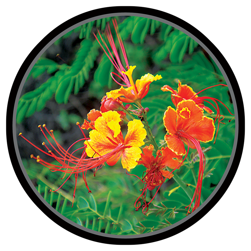 Custom Gobo - Made to your design